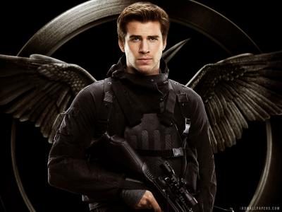 大饥饿游戏Mockingjay第1部分壁纸