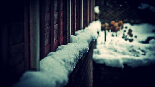 雪墙冬季宏高清壁纸