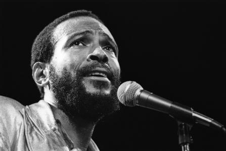 marvin gaye，grant lazlo，orchestra，motown wallpaper