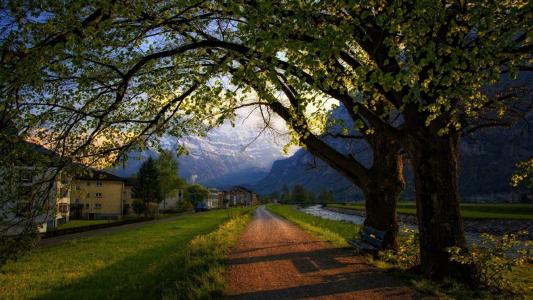 护眼绿色风景