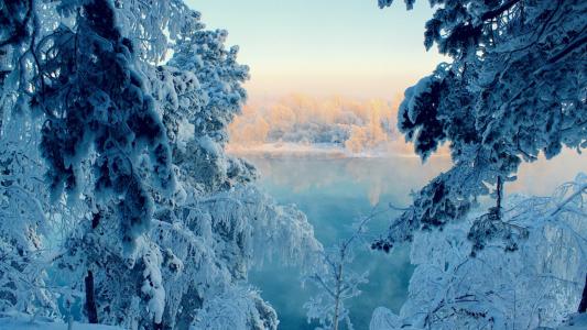 树雪冬天湖高清壁纸