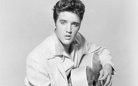 elvis presley，歌手，音乐家，bw壁纸