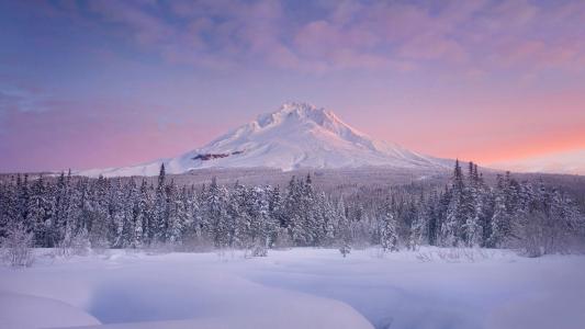 清新淡雅雪景