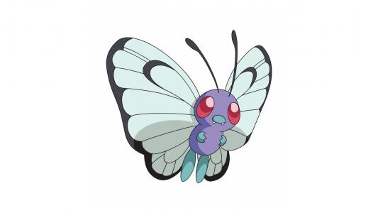 Butterfree，极简主义，白色背景壁纸