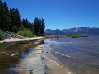 更多狗海滩S.lake Tahoe壁纸