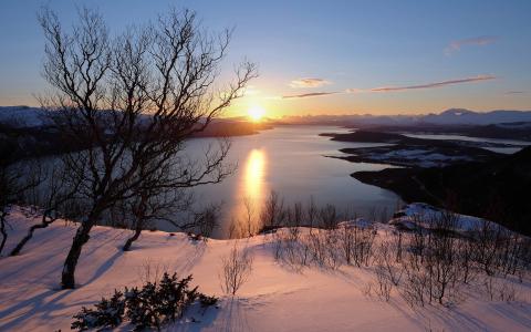 日落树雪冬湖风景高清壁纸