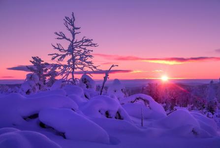 冬季日落雪壁纸