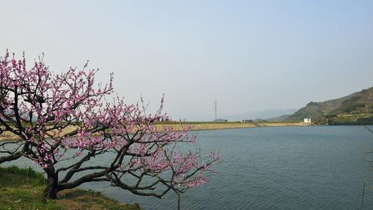 浙江源东乡风景摄影