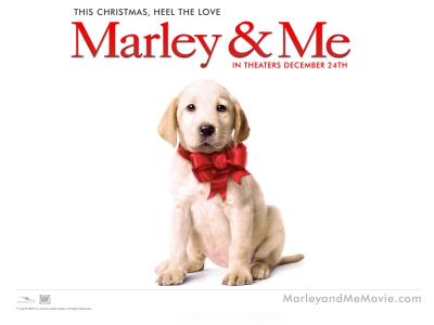 Marley & Me Dog wallpaper