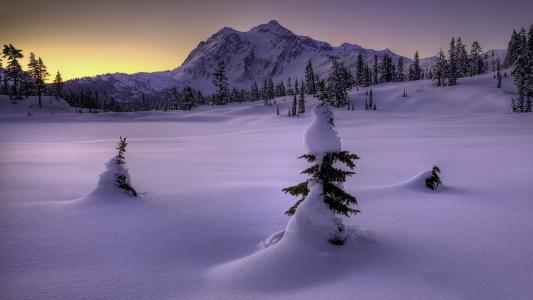 清新淡雅雪景