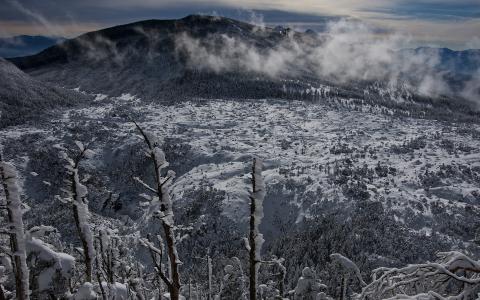 雪冬季景观山树高清壁纸