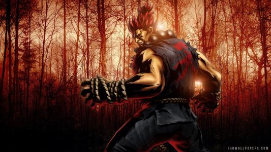 Akuma Marvel Vs Capcom 3 wallpaper