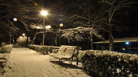 光夜长凳雪冬季高清壁纸