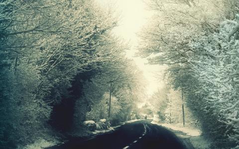 道路，树木，雪壁纸