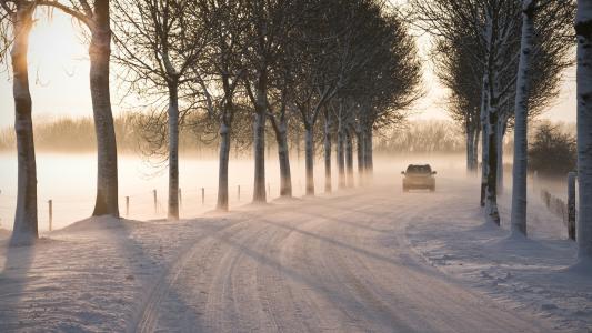 树阳光下径路雪冬季高清壁纸