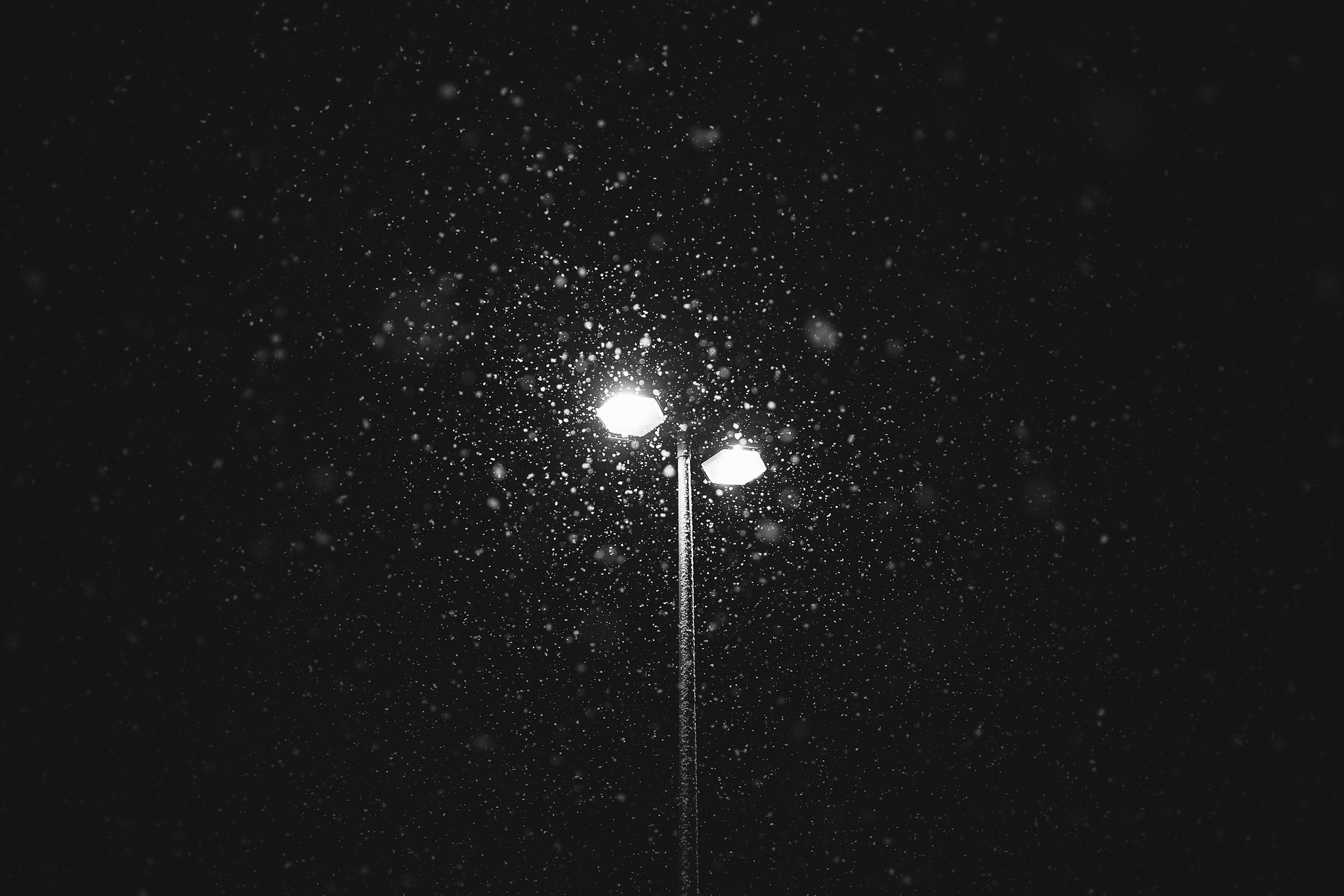灯,黑色和白色,晚上,雪,冬季壁纸1920x1080分辨率查看