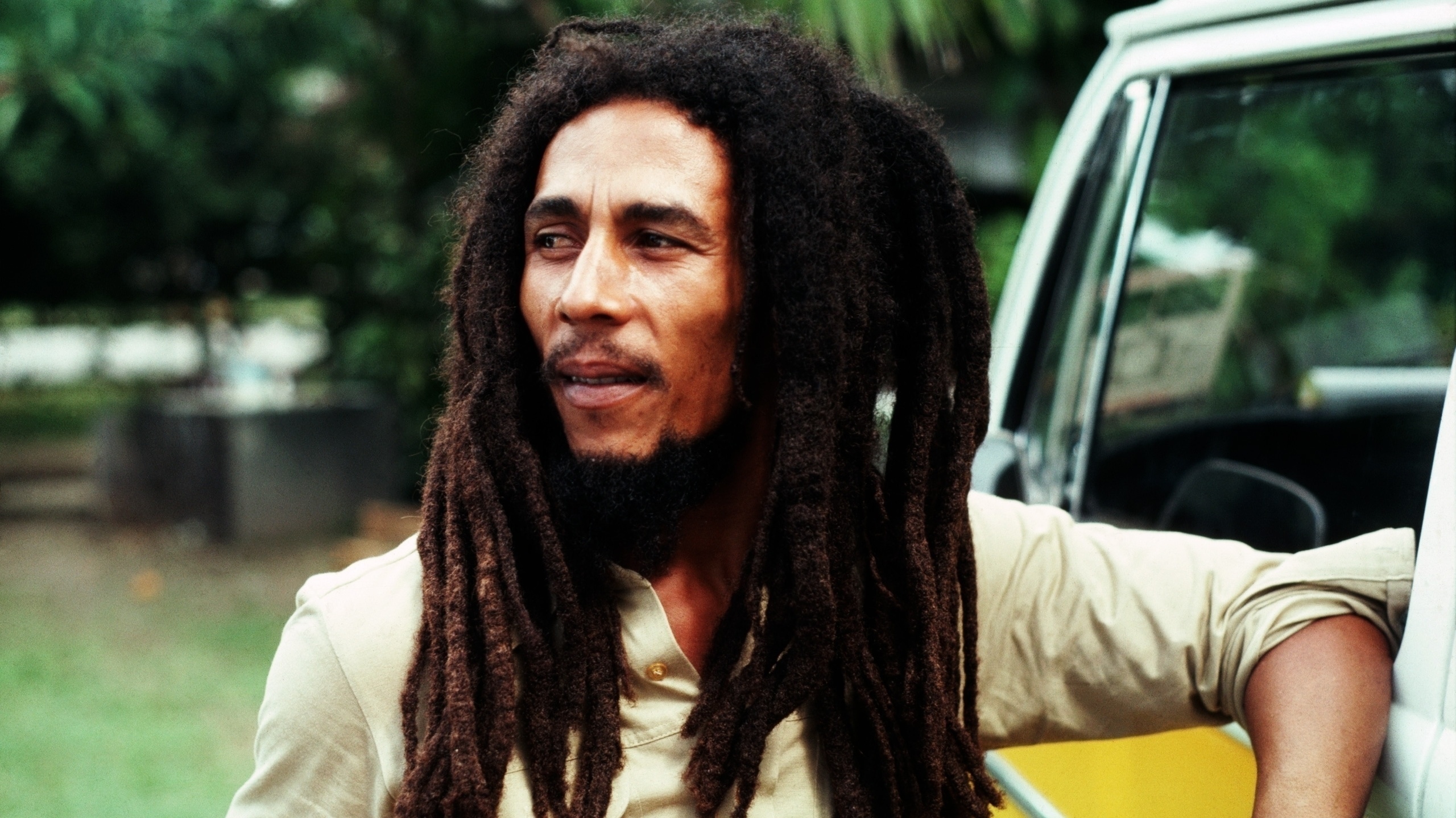 Bob Marley Dreadlocks壁纸