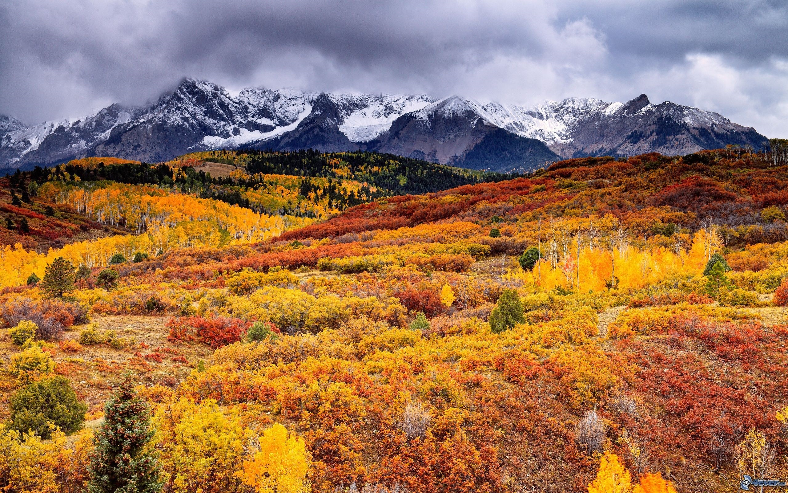 美丽的秋天自然景观,树木,山,云壁纸1600x1200分辨率查看