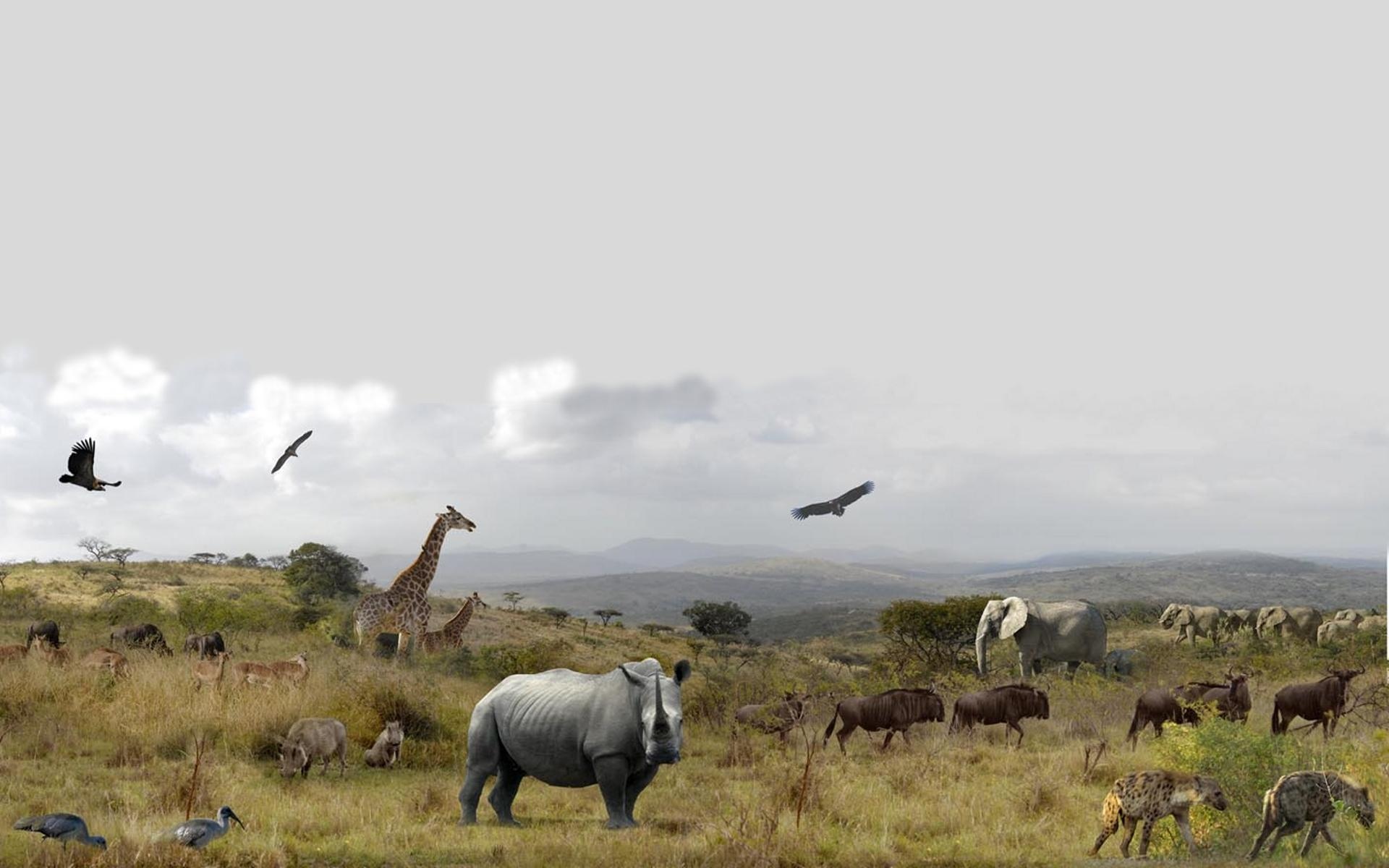 Hluhluwe National Park wallpaper