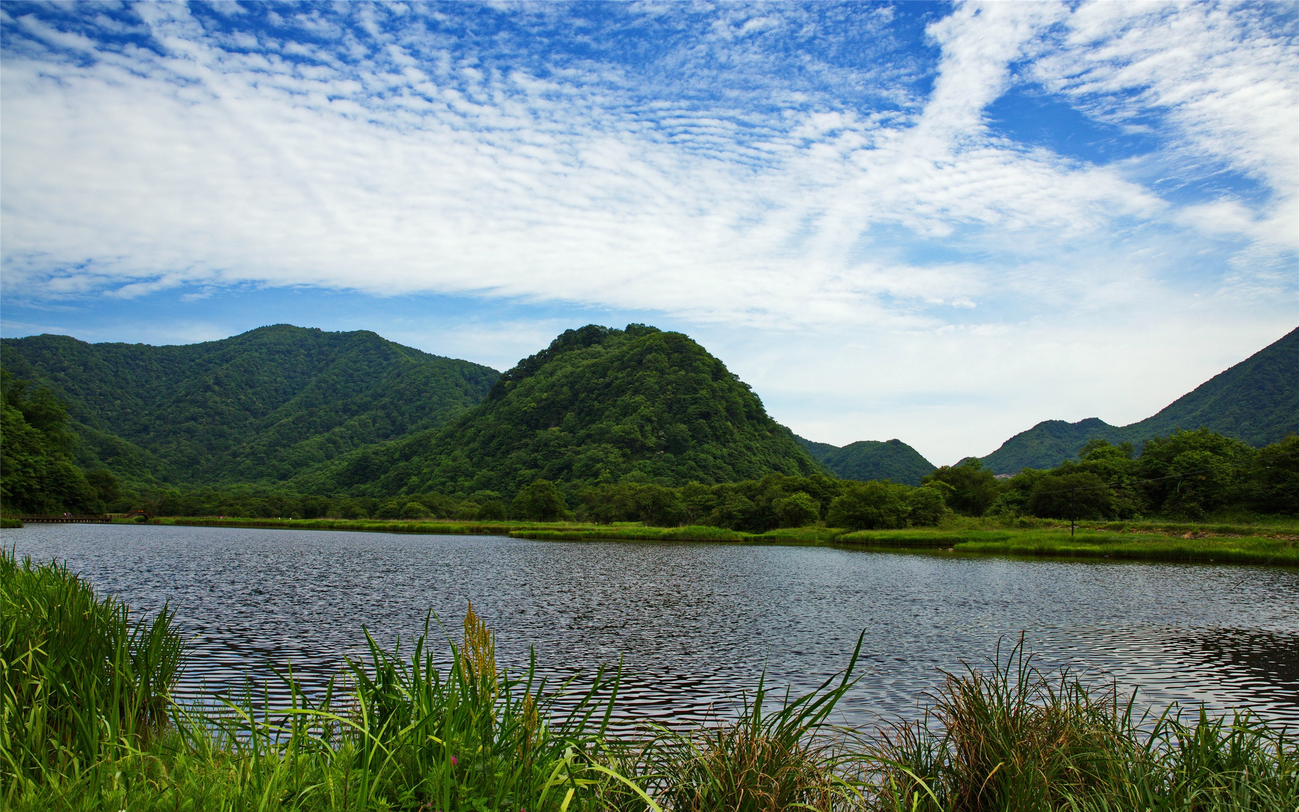 神农架大九湖国家湿地公园