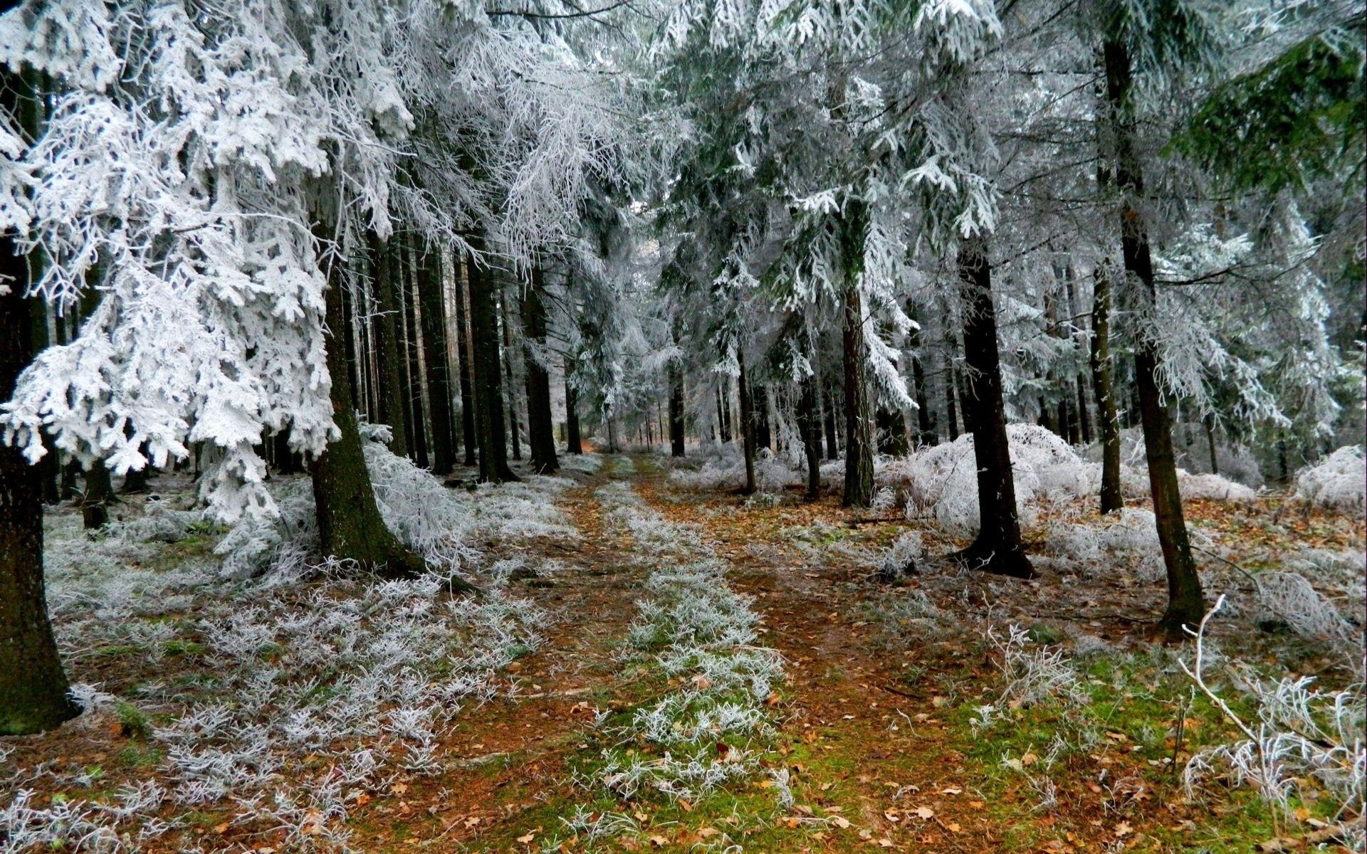 秋之雪壁纸