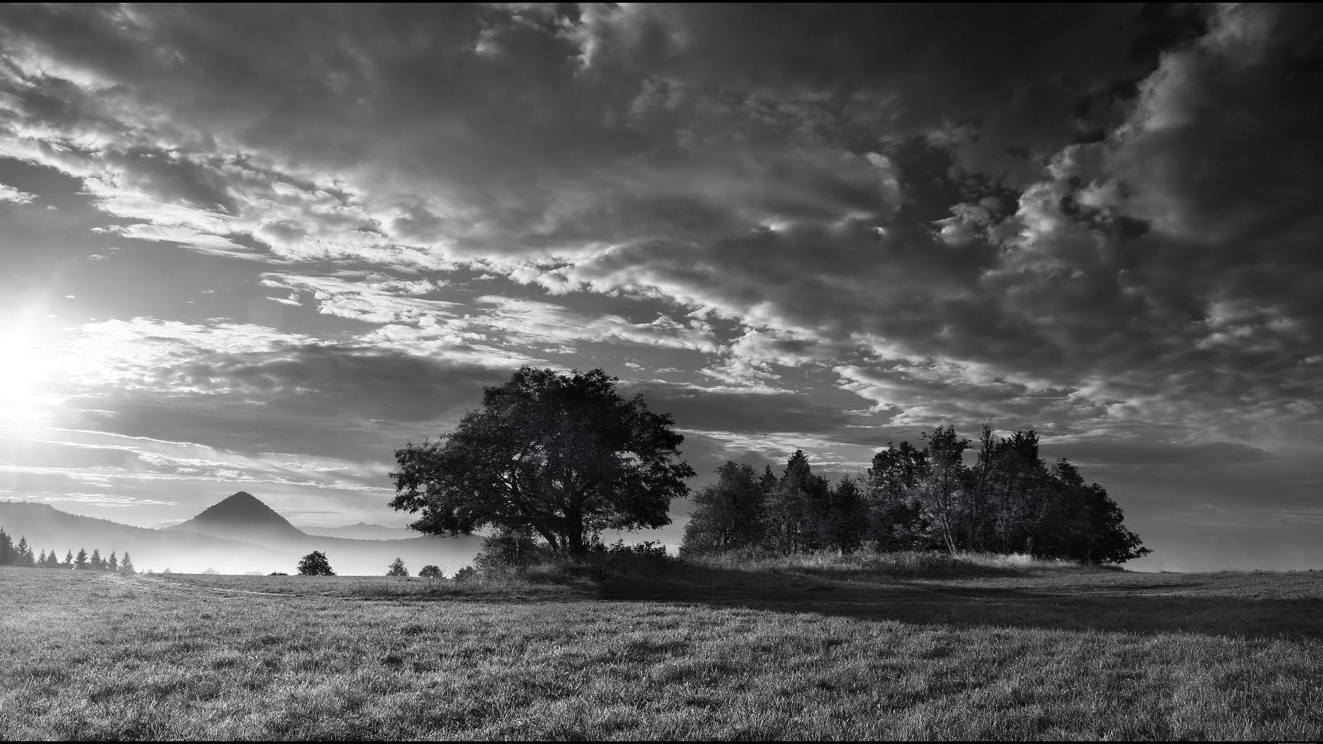 BW Landscape Sunlight Trees Clouds高清壁纸