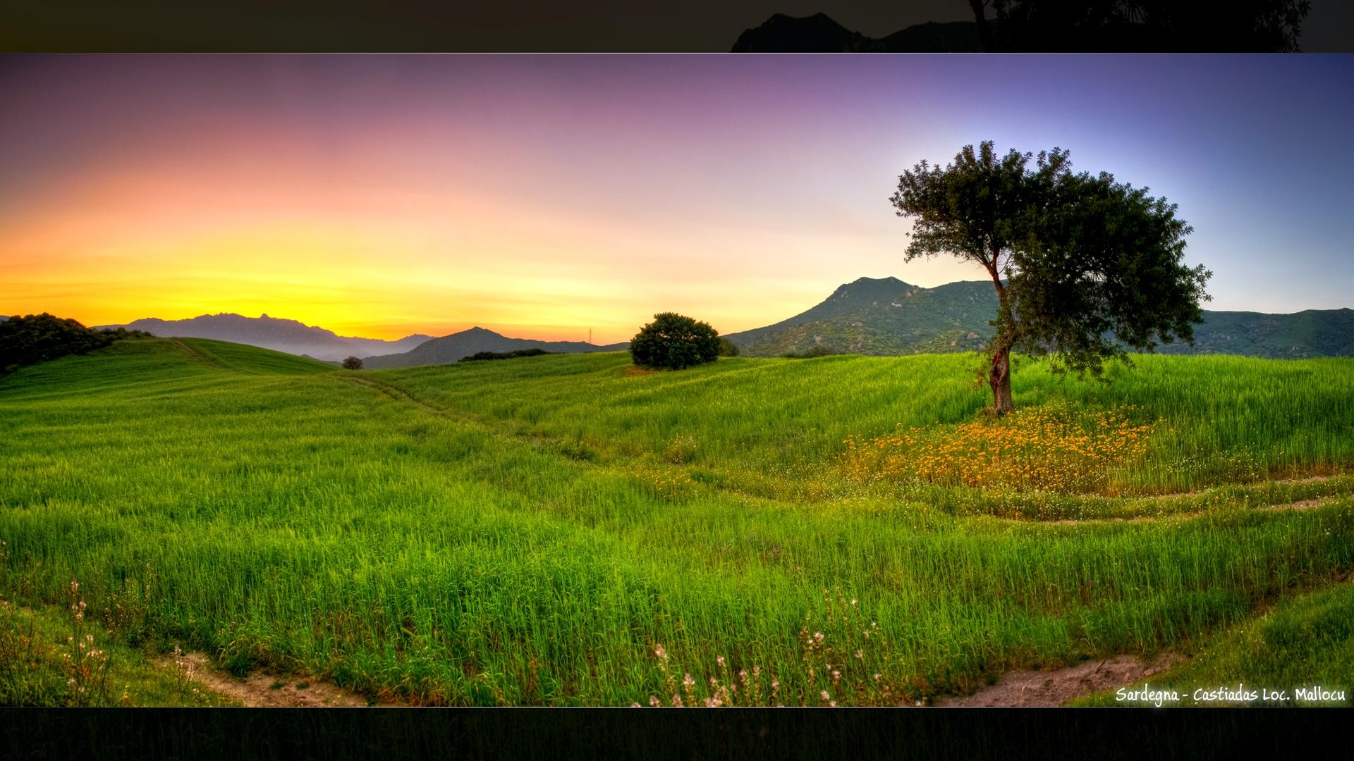 草地上的夕阳