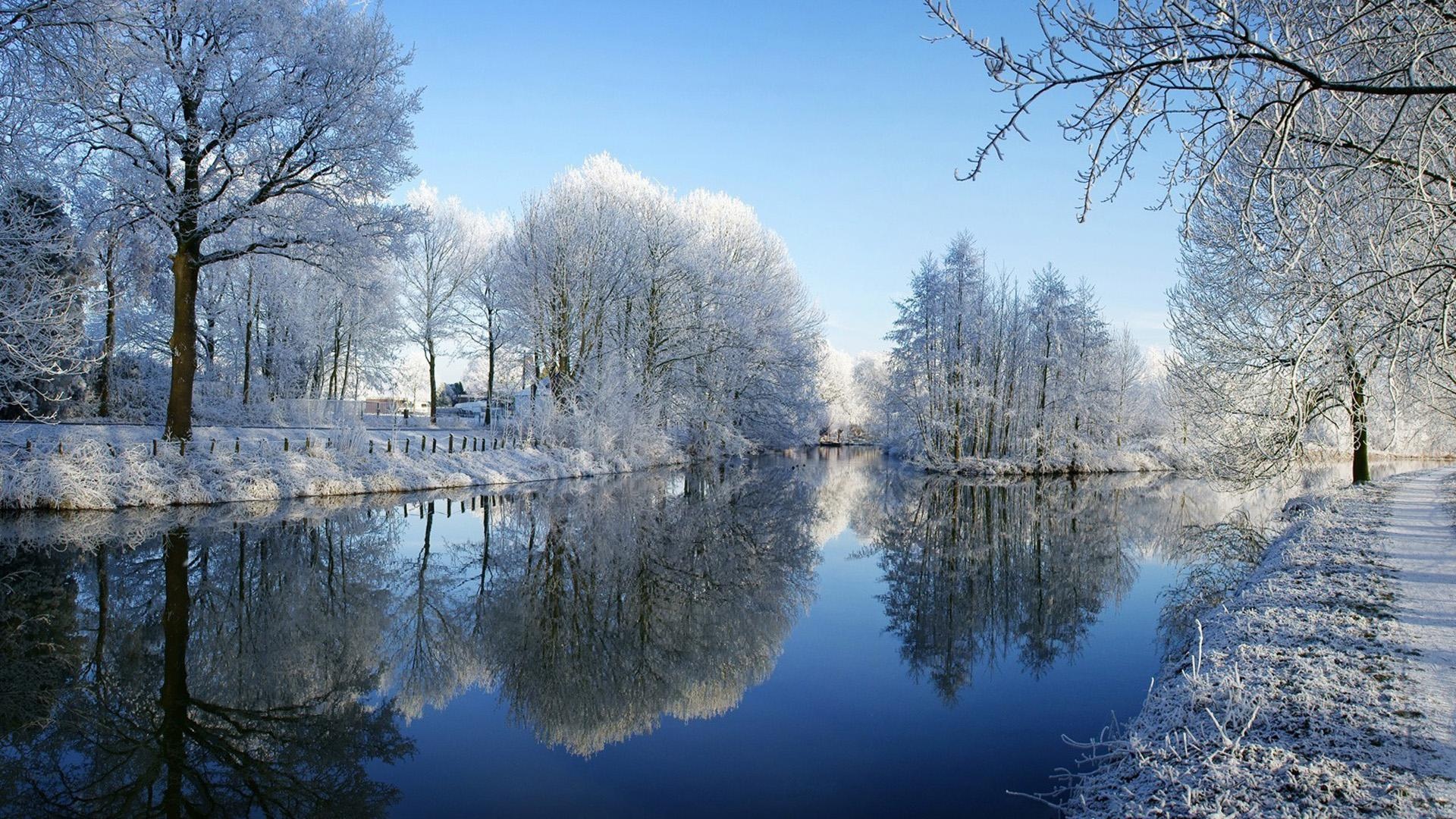 冬天,河,树,霜,雪,如诗如画的风景,冬季风景壁纸