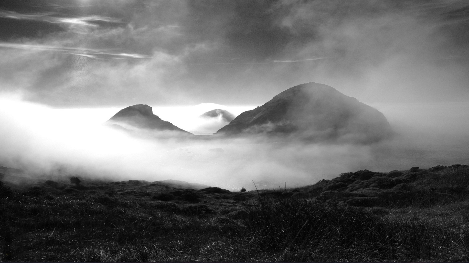 white grey fog