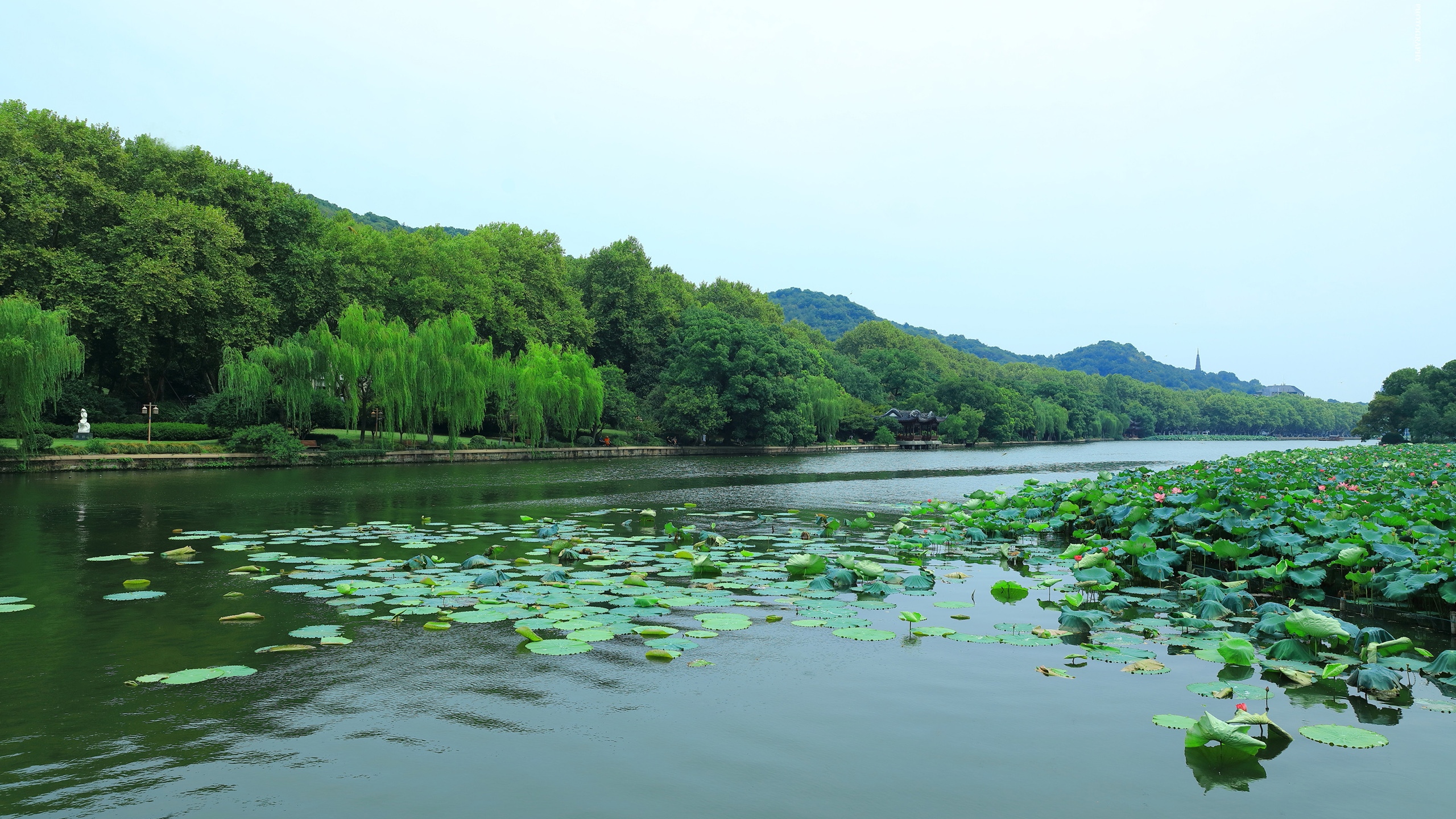 唯美杭州西湖美景摄影,高清图片,壁纸,自然风景-桌面城市