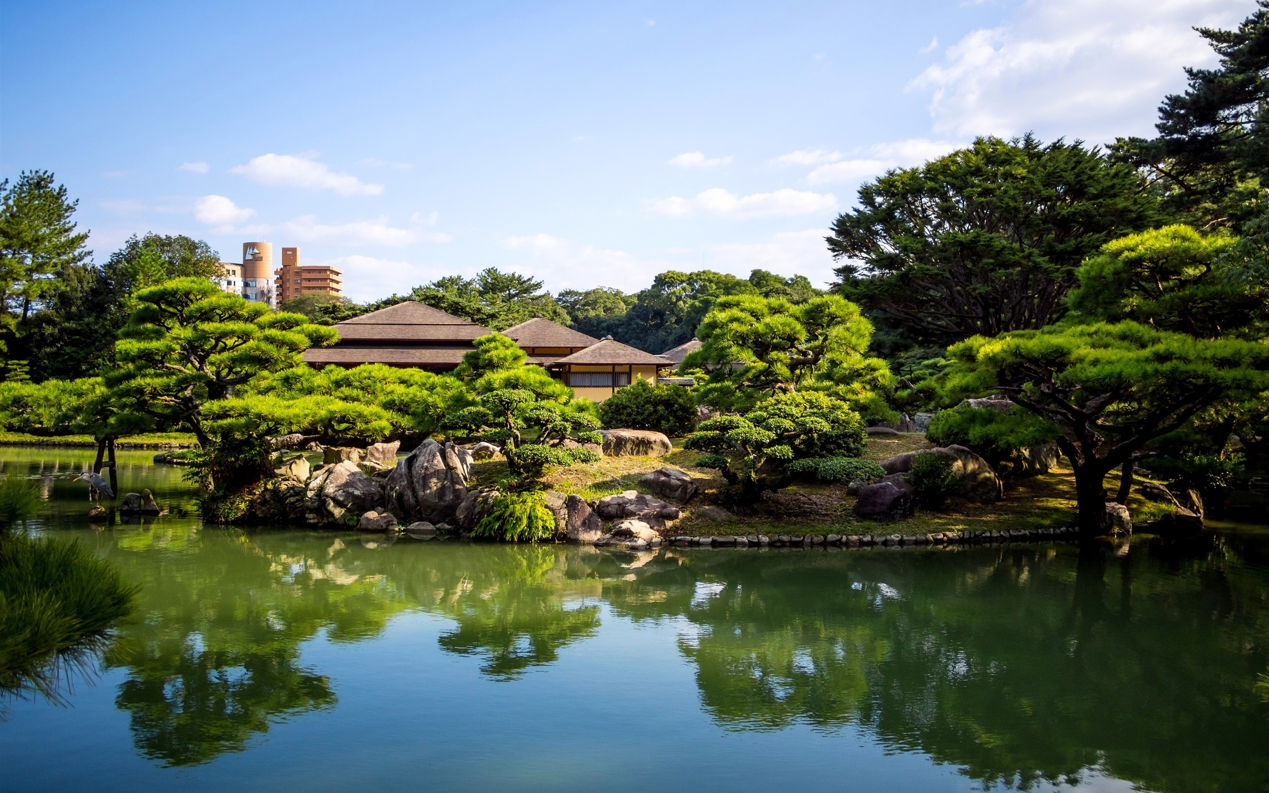 日本Ritsurin花园，池塘，树木，房子壁纸