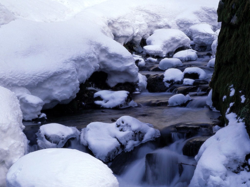 雪中写真 第一辑