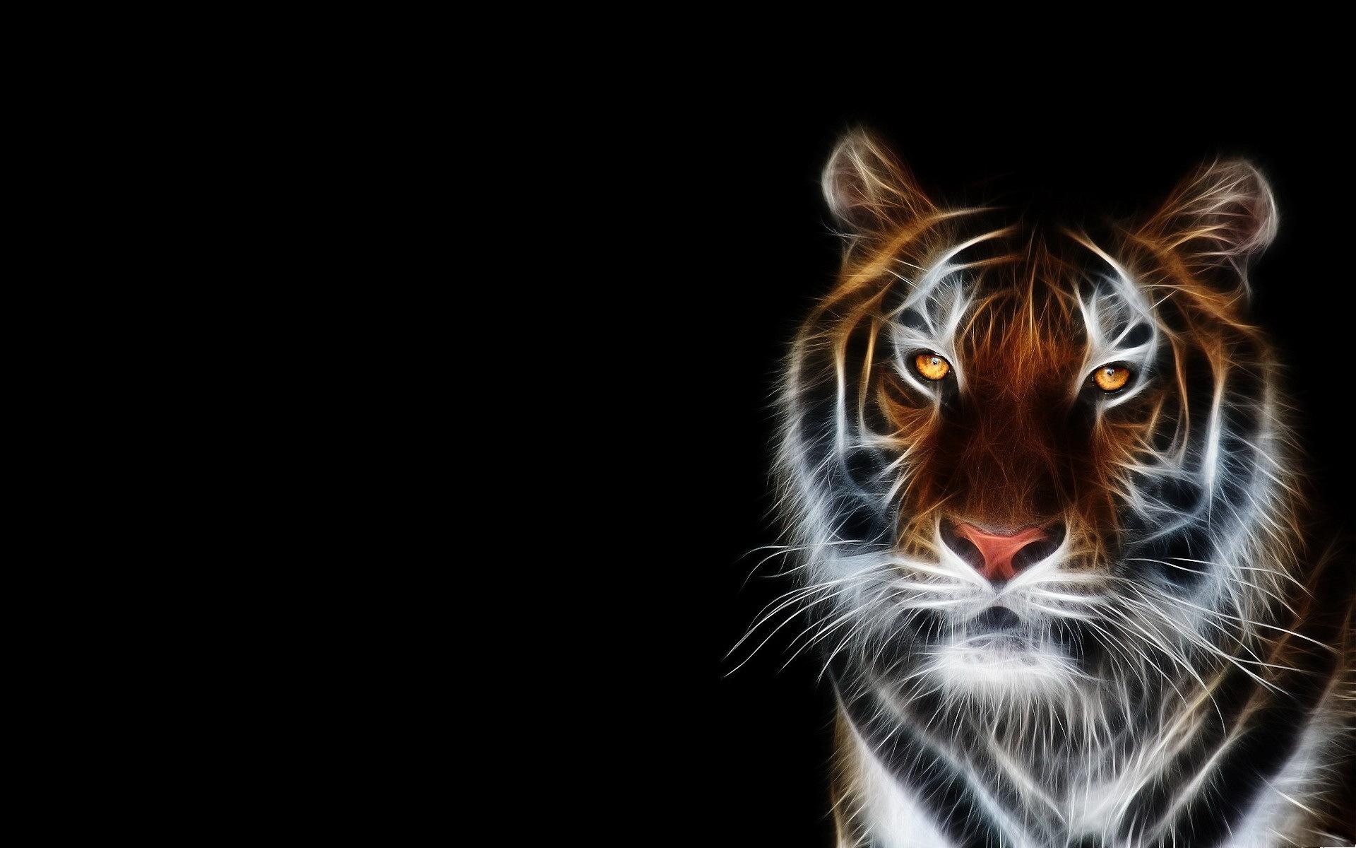 digital tiger wallpaper1600x900分辨率查看