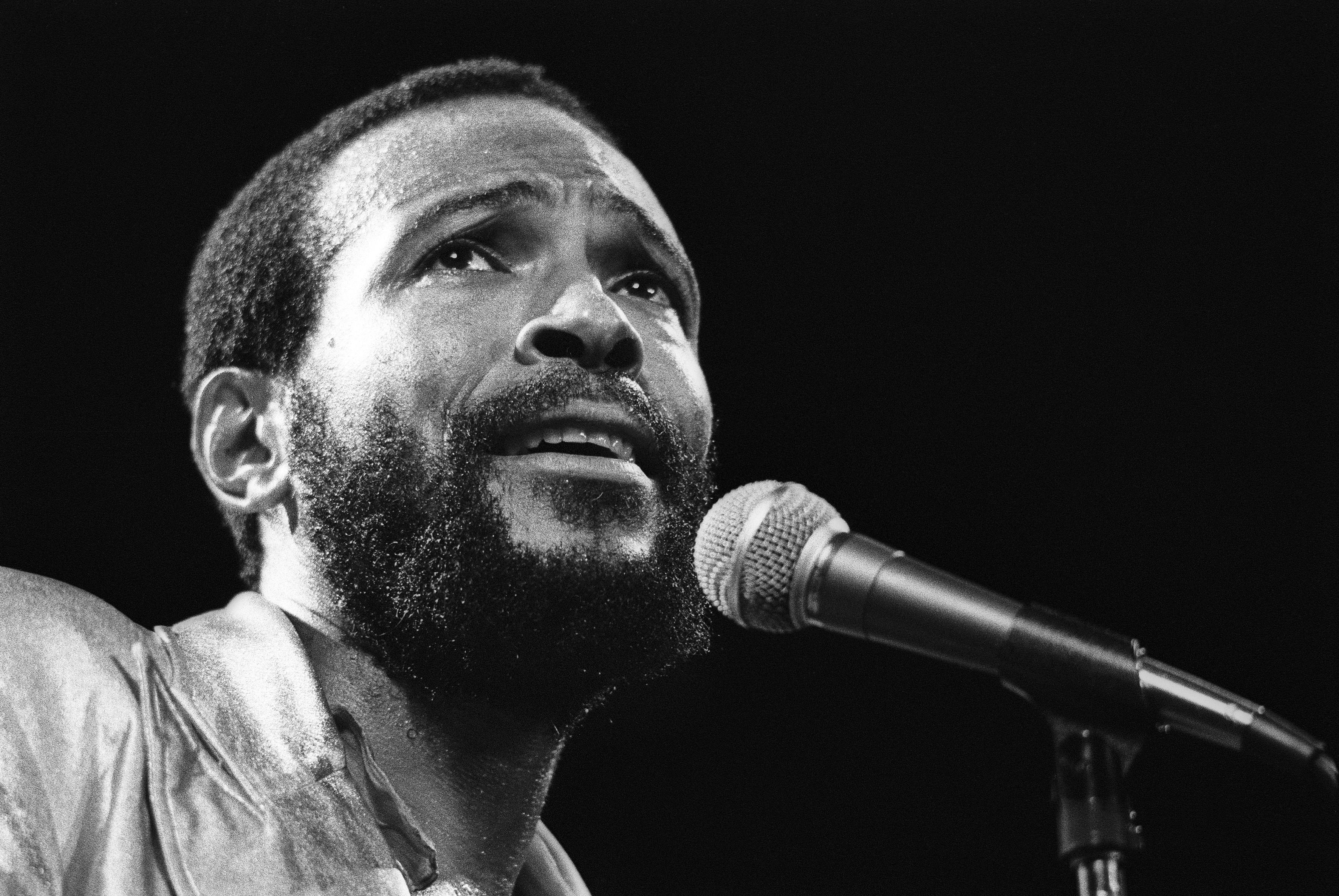 marvin gaye,grant lazlo,orchestra,motown wallpaper2736x1824