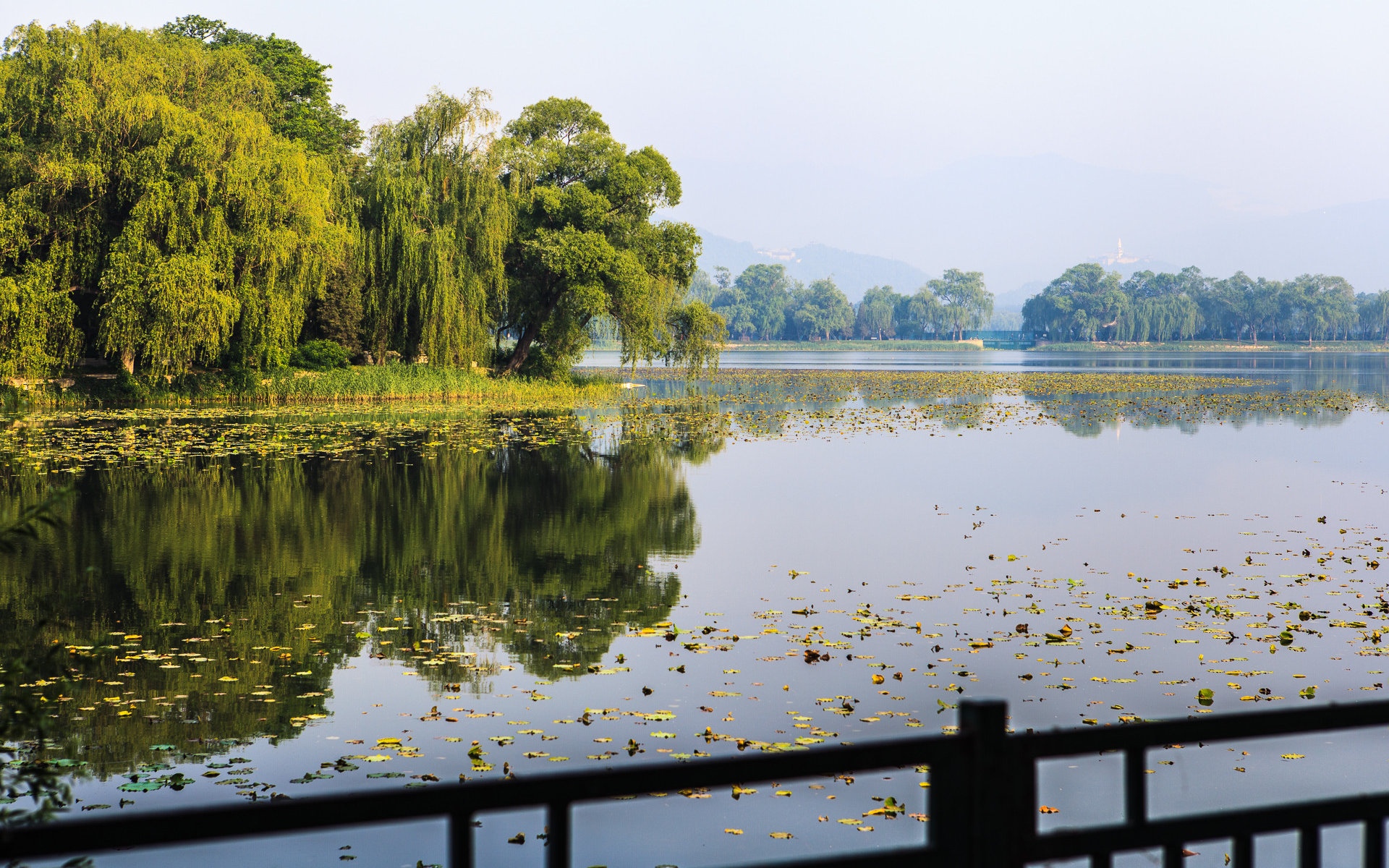 北京南海子公园风景壁纸