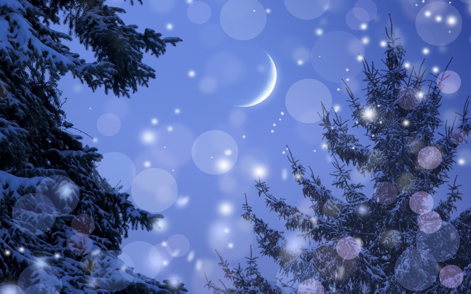 冬天,月亮,夜晚,树木,雪,强光壁纸