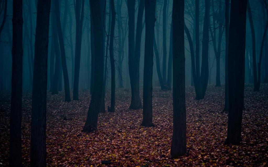 孤独的黑暗森林高清壁纸