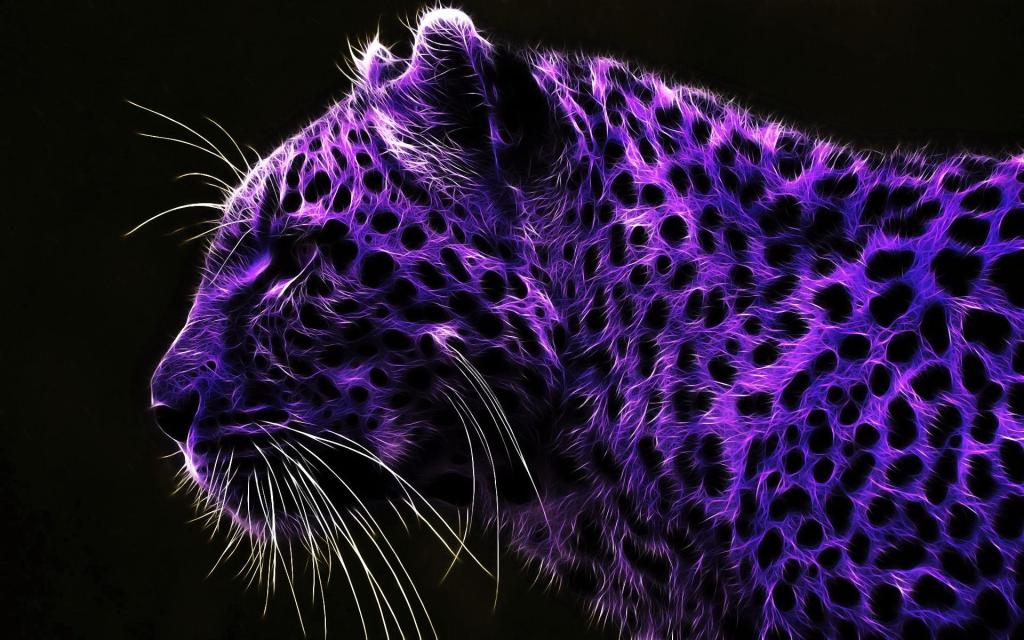 紫色豹纹壁纸