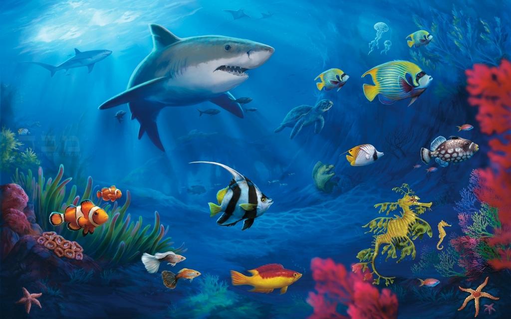 鲨鱼壁纸高清卡通图片图片