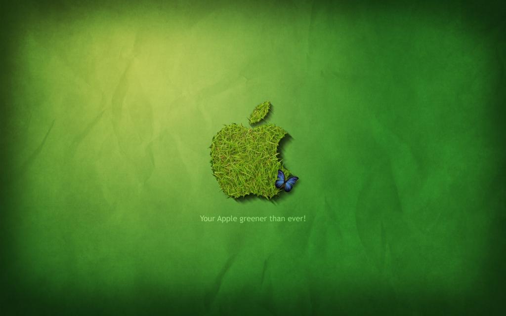 苹果11壁纸绿色图片
