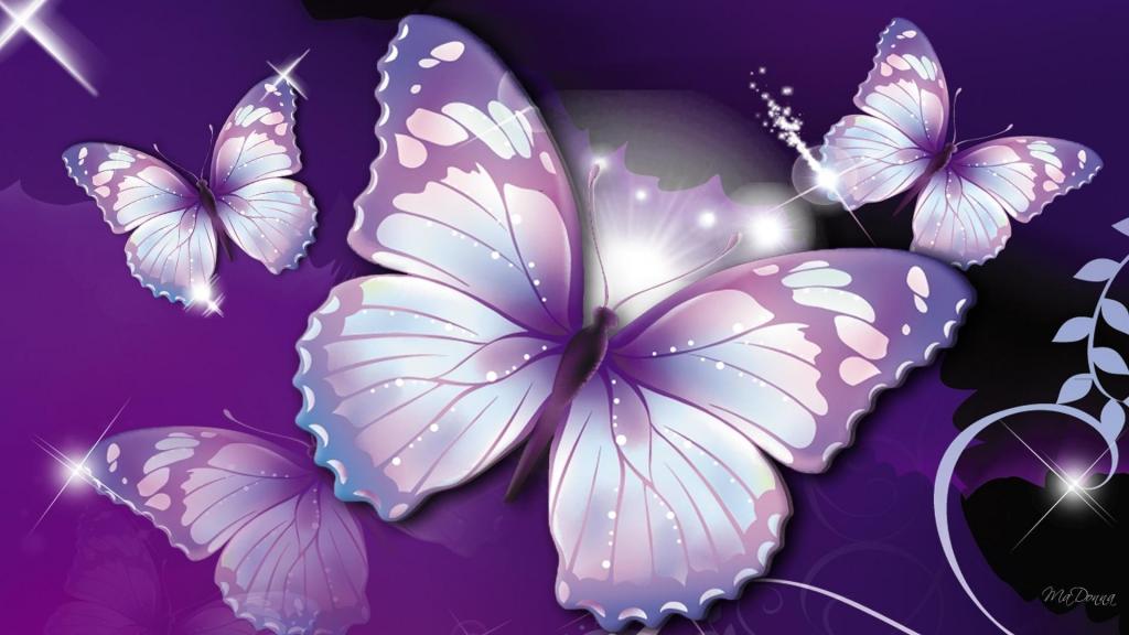 蝴蝶紫色壁纸