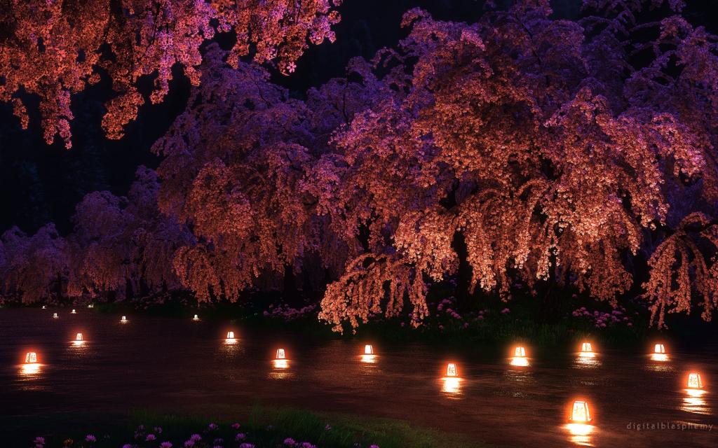 灯光下的樱花夜景图片
