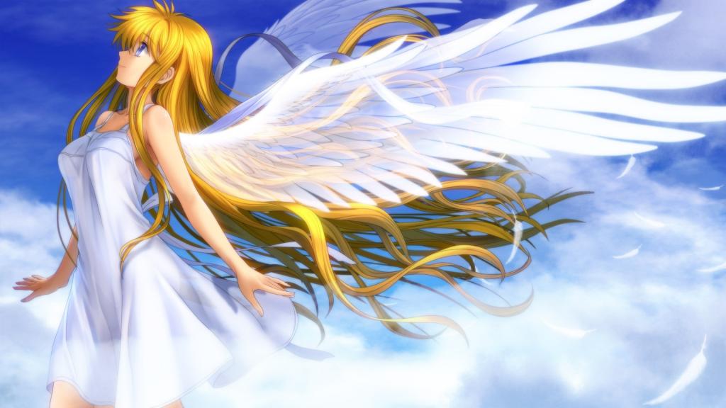 美丽的动漫女孩天使翅膀白色的羽毛壁纸