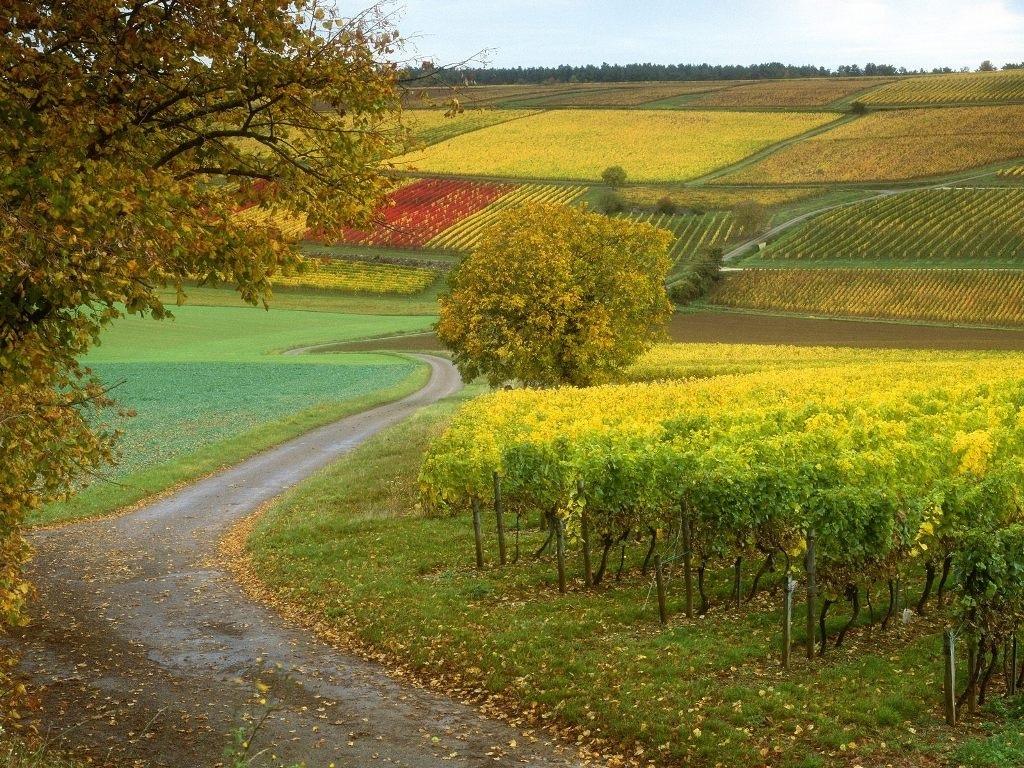 法国10大农场图片