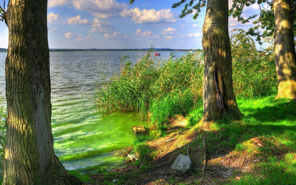 湖绿色 壁纸图片