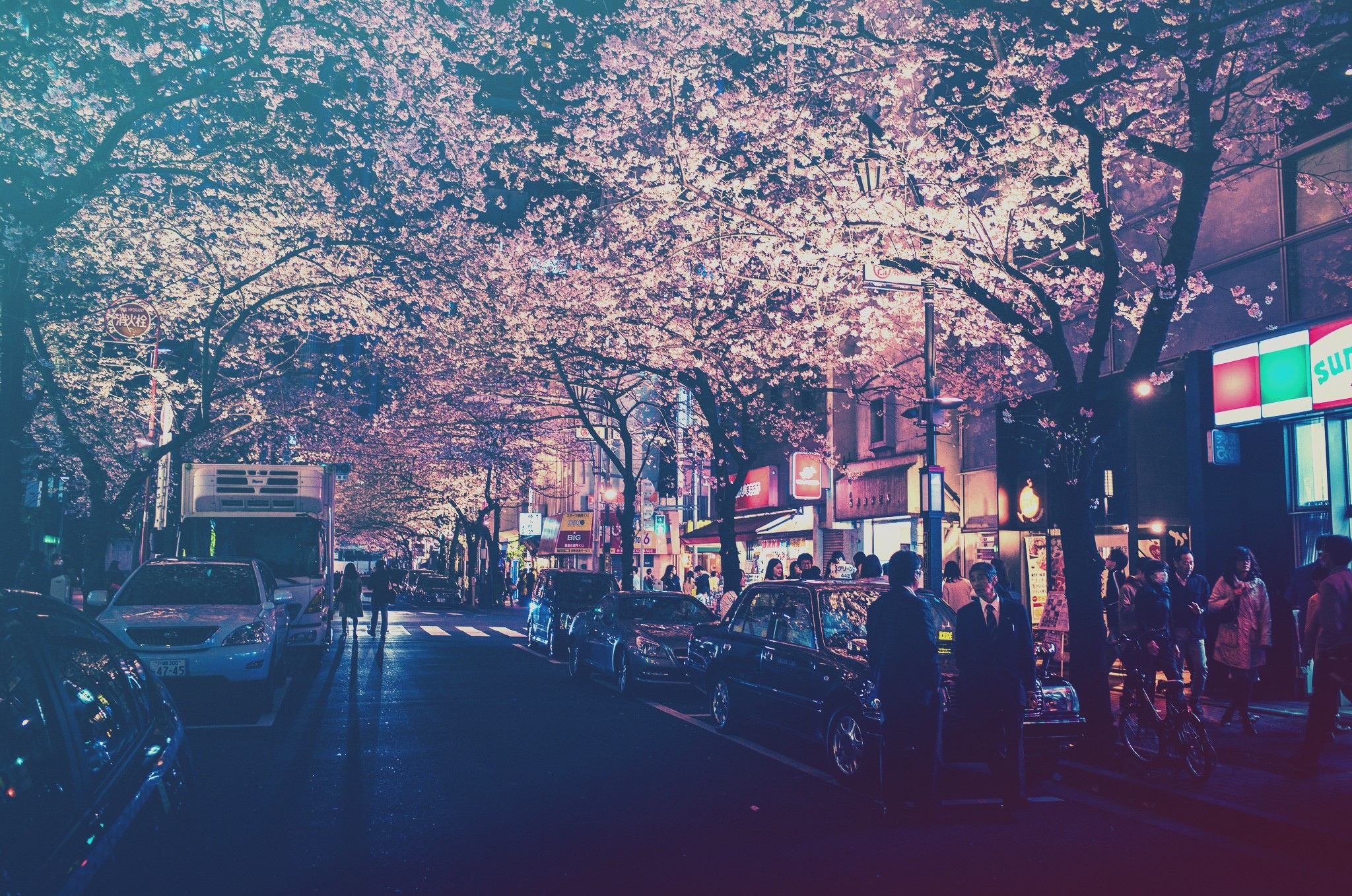 城市,日本,灯,街,路灯,过滤器,汽车,樱花,人物壁纸