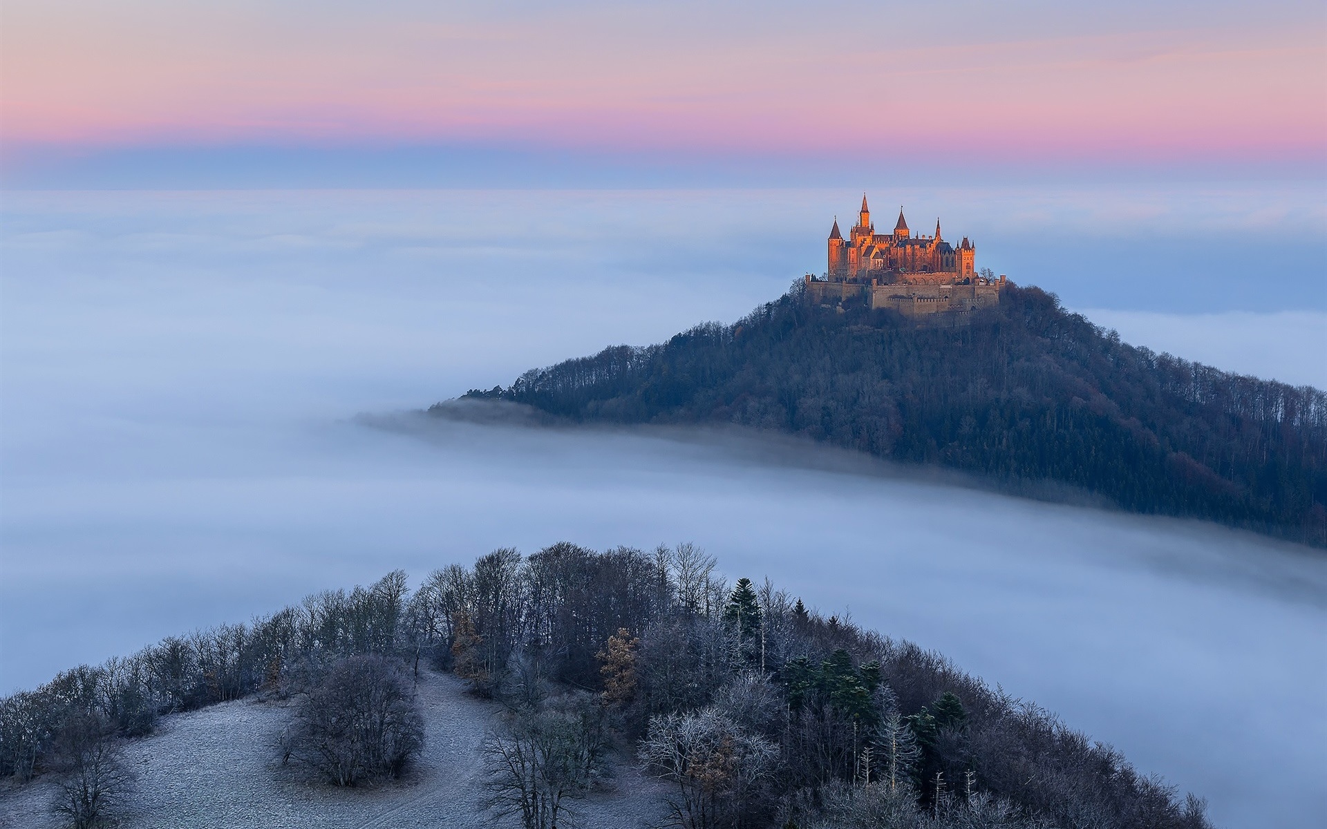 德国,hohenzollern城堡,秋天,雾,树木壁纸1600x1200分辨率查看