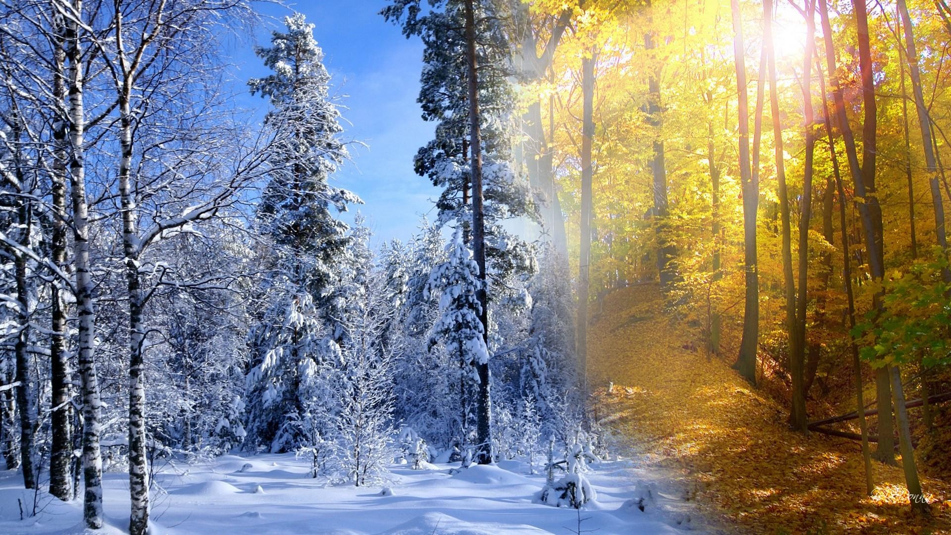 秋冬壁纸1600x900分辨率下载,秋冬壁纸,高清图片,壁纸,自然风景
