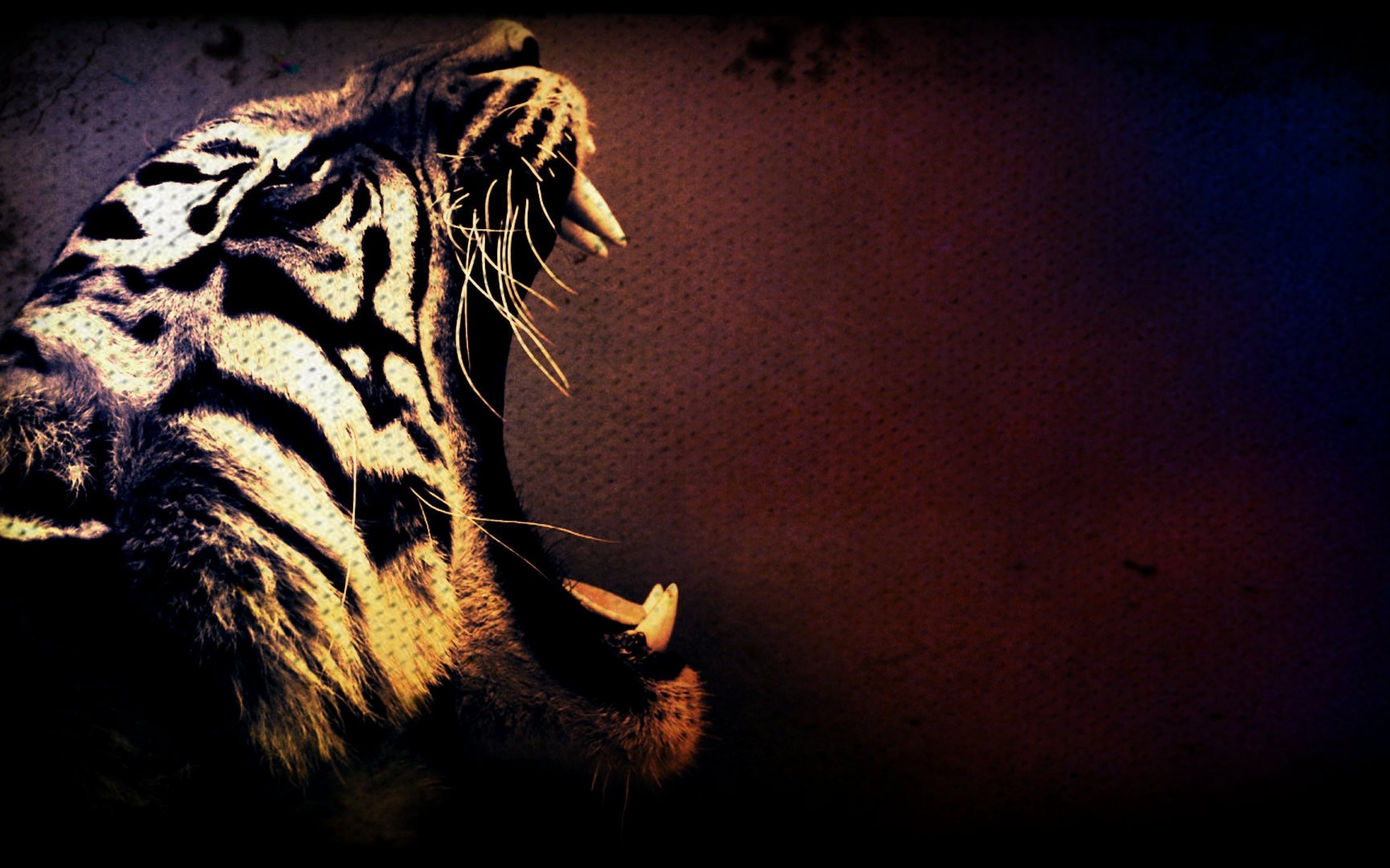 老虎嗷呜壁纸图片