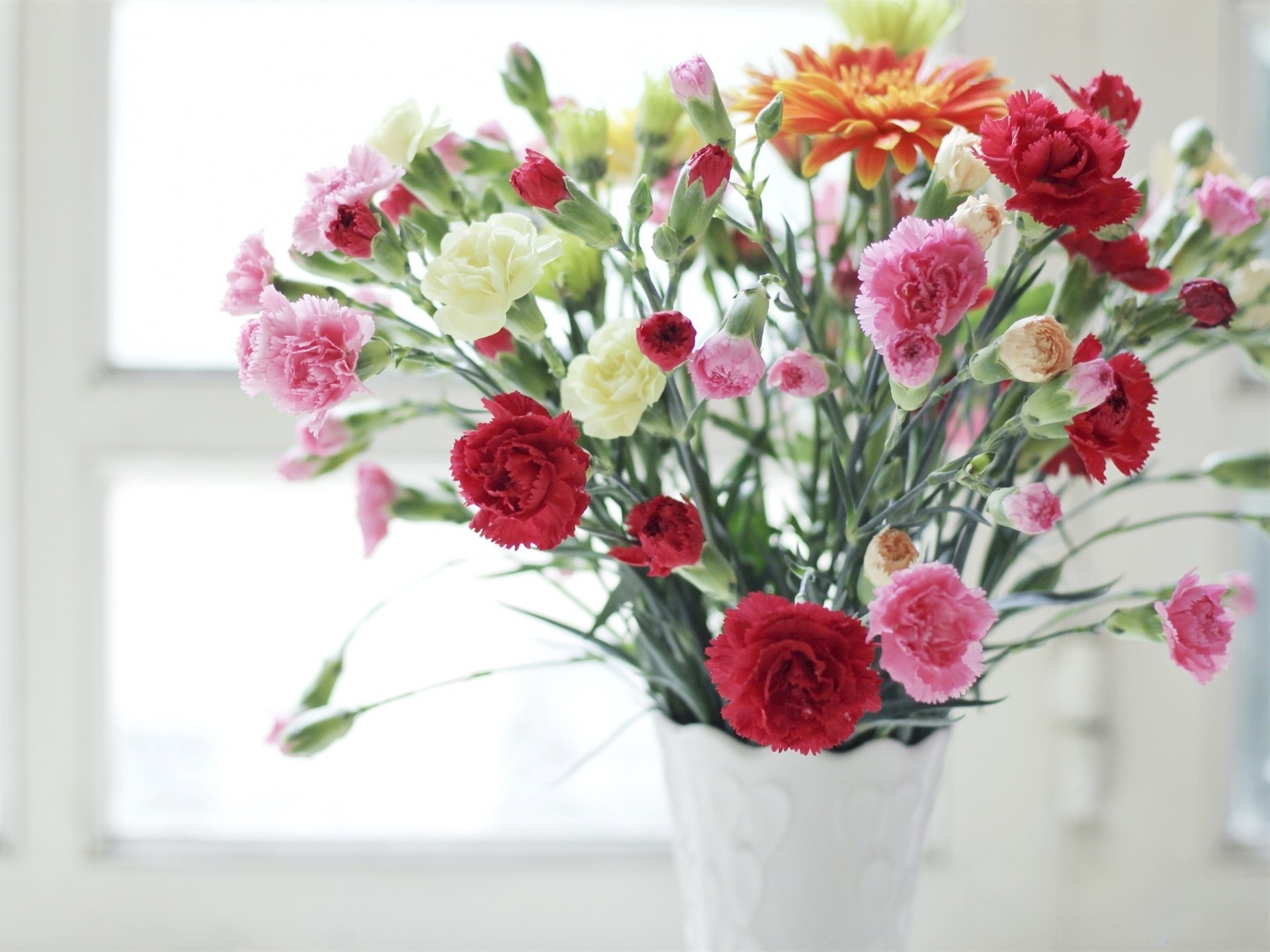 康乃馨,粉红色和白色的花朵,花瓶壁纸高清原图查看